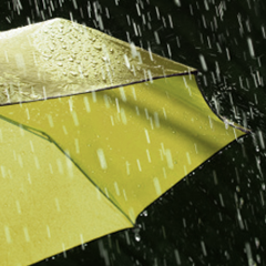 umbrella-thumb